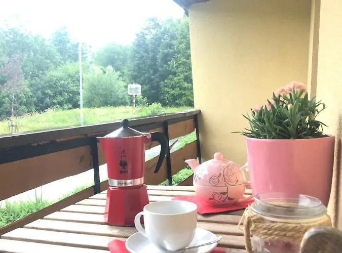 Appartement S Vyhledem Na Jezerni Stenu Železná Ruda